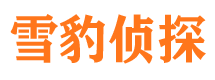 花溪市侦探公司